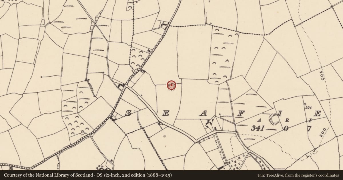 Ordnance Survey six-inch map, 2nd edition (1888–1915) covering the location of Ringfort - rath, Seafield, County Waterford, with a pin at the register's coordinates