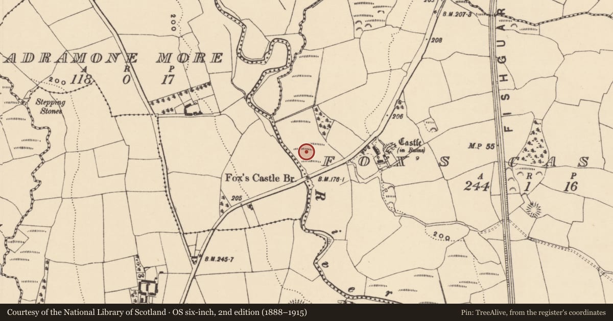 Ordnance Survey six-inch map, 2nd edition (1888–1915) covering the location of Water mill - horizontal-wheeled, Fox'S Castle, County Waterford, with a pin at the register's coordinates