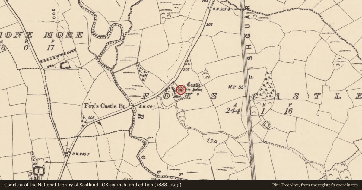 Ordnance Survey six-inch map, 2nd edition (1888–1915) covering the location of Castle - unclassified, Fox'S Castle, County Waterford, with a pin at the register's coordinates