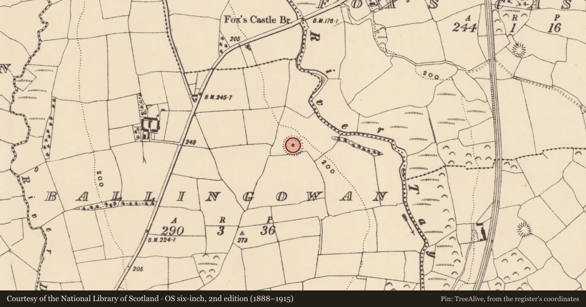 Ordnance Survey six-inch map, 2nd edition (1888–1915) covering the location of Ringfort - rath, Ballingowan, County Waterford, with a pin at the register's coordinates