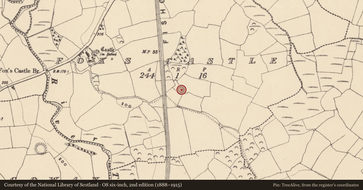 Ordnance Survey six-inch map, 2nd edition (1888–1915) covering the location of Ringfort - rath, Fox'S Castle, County Waterford, with a pin at the register's coordinates