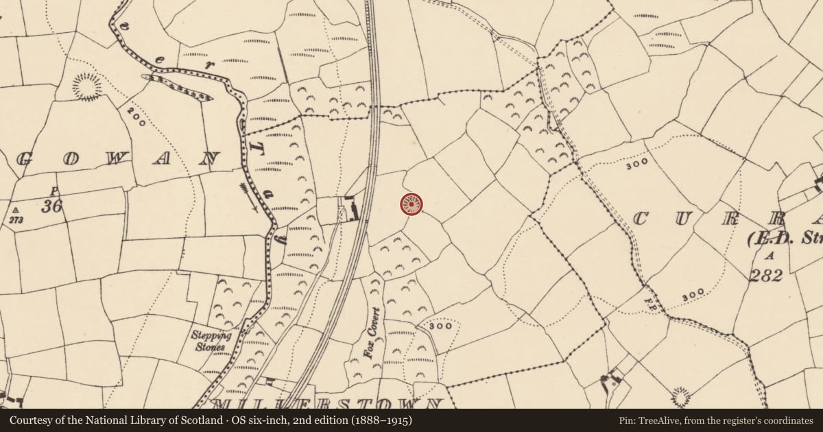 Ordnance Survey six-inch map, 2nd edition (1888–1915) covering the location of Ringfort - rath, Millerstown, County Waterford, with a pin at the register's coordinates