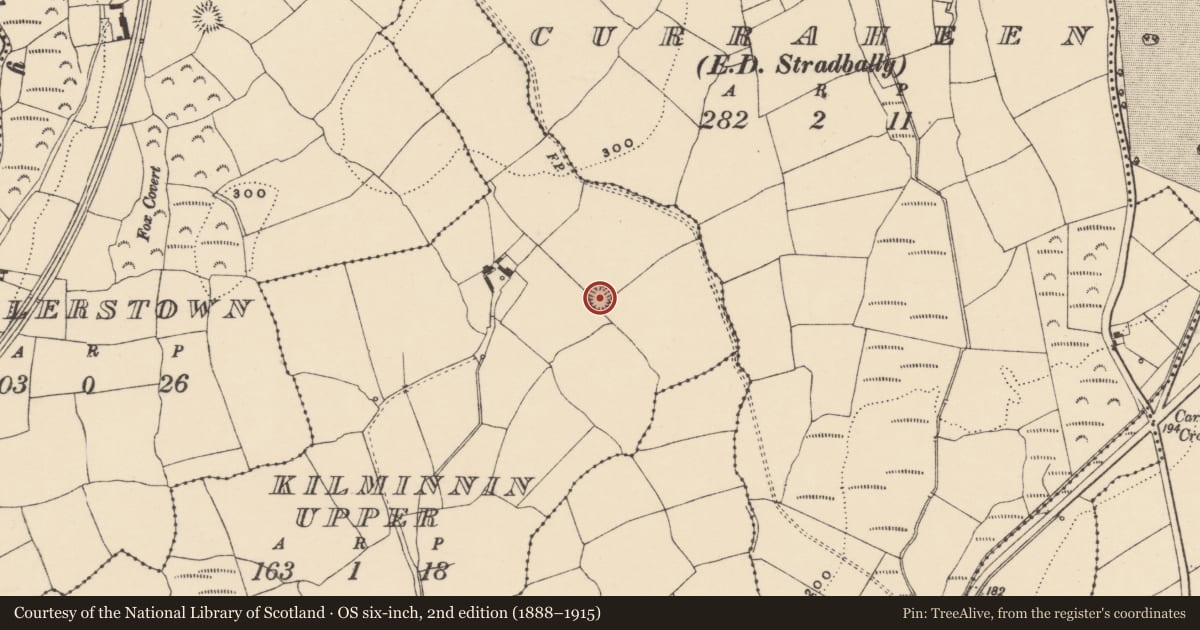 Ordnance Survey six-inch map, 2nd edition (1888–1915) covering the location of Ringfort - rath, Kilminnin Upper, County Waterford, with a pin at the register's coordinates