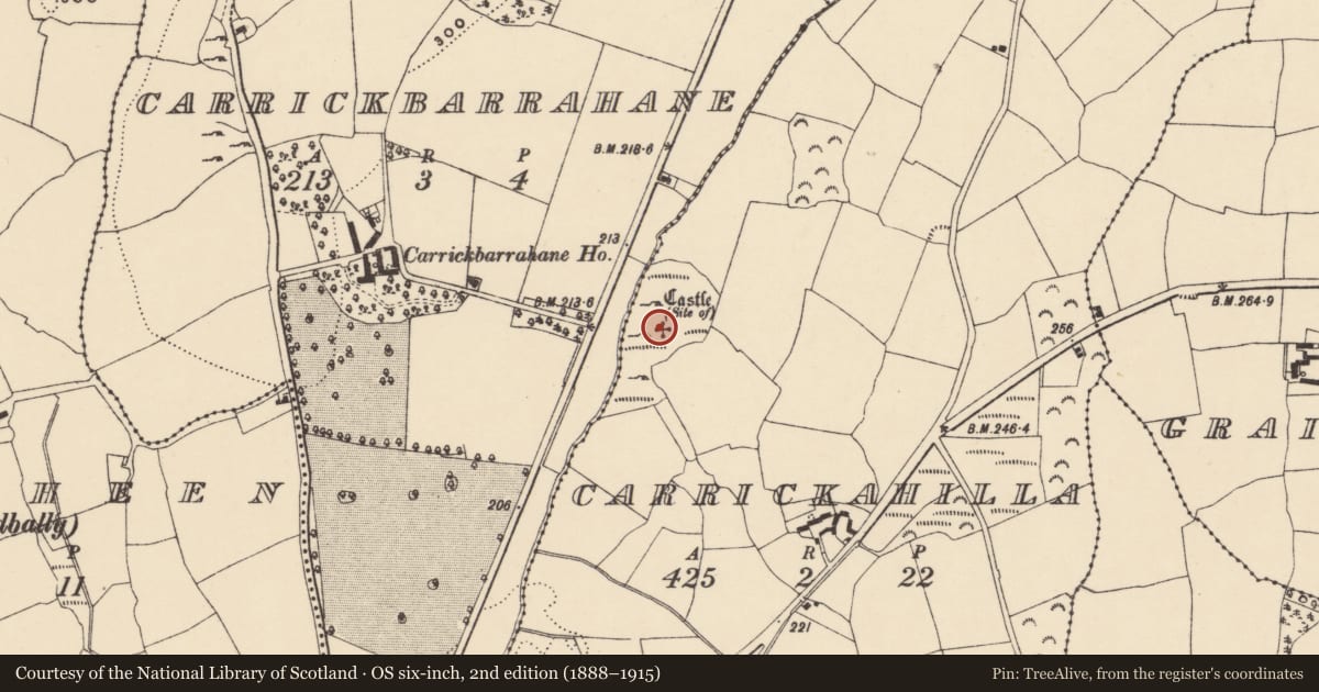 Ordnance Survey six-inch map, 2nd edition (1888–1915) covering the location of Castle - unclassified, Carrickahilla, County Waterford, with a pin at the register's coordinates