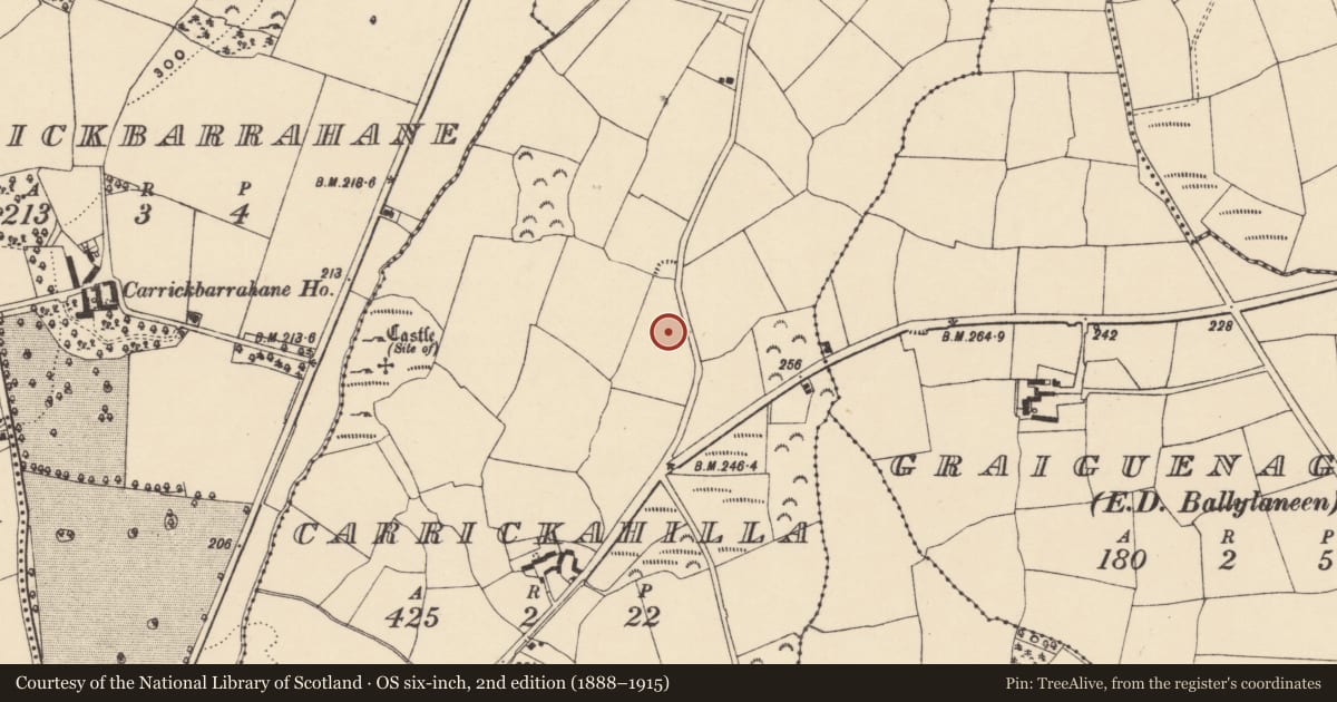 Ordnance Survey six-inch map, 2nd edition (1888–1915) covering the location of Earthwork, Carrickahilla, County Waterford, with a pin at the register's coordinates