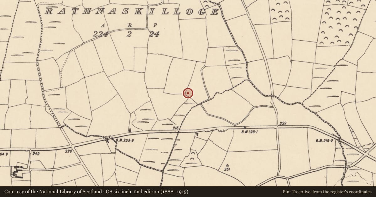 Ordnance Survey six-inch map, 2nd edition (1888–1915) covering the location of Cist, Rathnaskilloge, County Waterford, with a pin at the register's coordinates