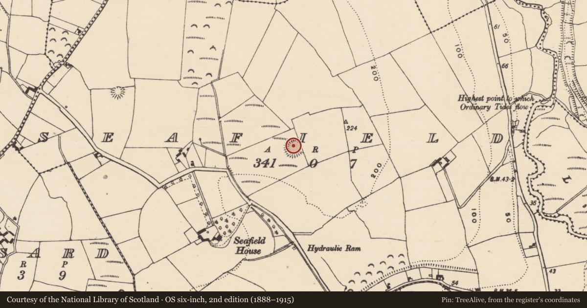 Ordnance Survey six-inch map, 2nd edition (1888–1915) covering the location of Ringfort - rath, Seafield, County Waterford, with a pin at the register's coordinates