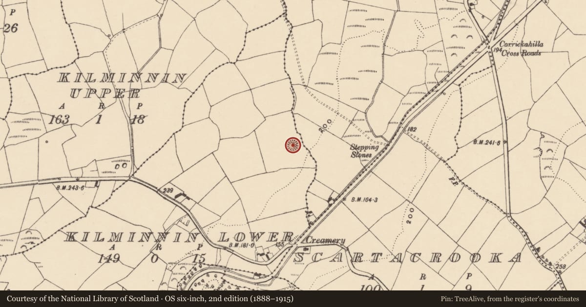 Ordnance Survey six-inch map, 2nd edition (1888–1915) covering the location of Ringfort - unclassified, Kilminnin Lower, County Waterford, with a pin at the register's coordinates