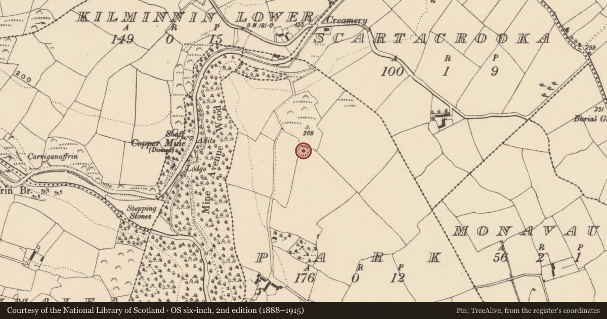 Ordnance Survey six-inch map, 2nd edition (1888–1915) covering the location of Enclosure, Park, County Waterford, with a pin at the register's coordinates