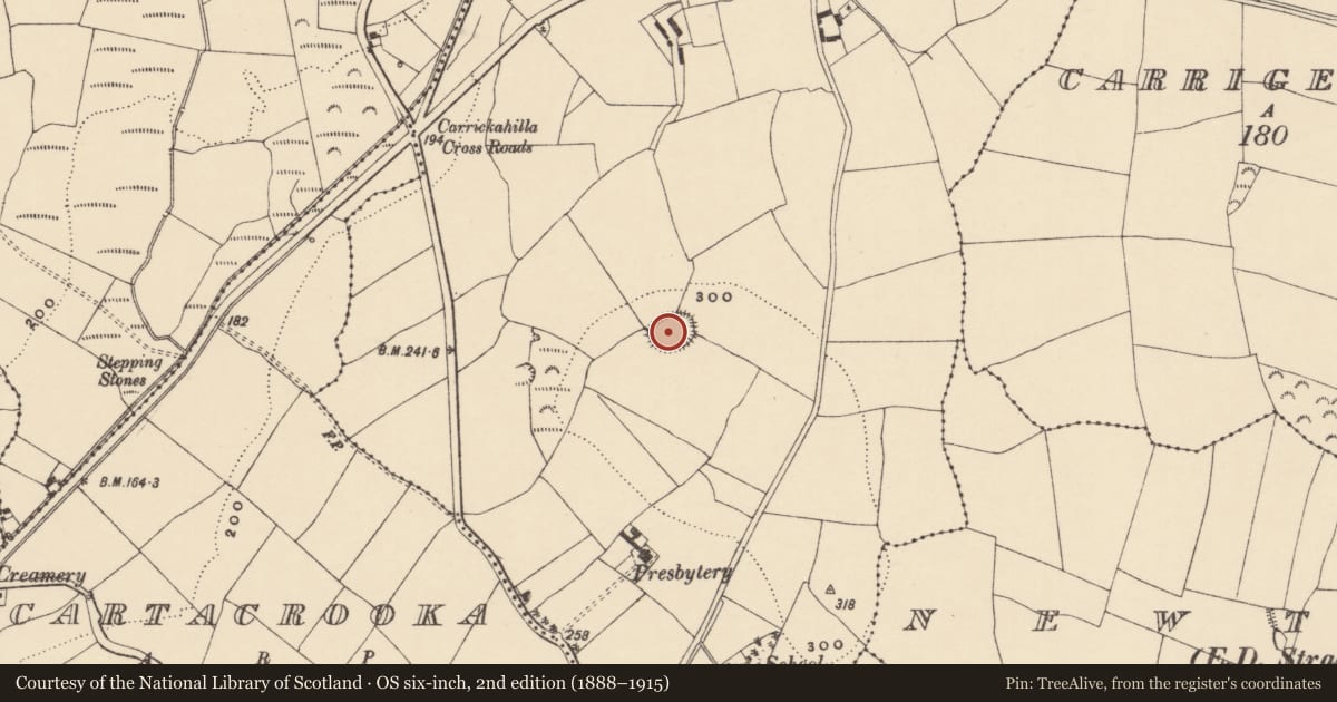 Ordnance Survey six-inch map, 2nd edition (1888–1915) covering the location of Ringfort - rath, Carrickahilla, County Waterford, with a pin at the register's coordinates