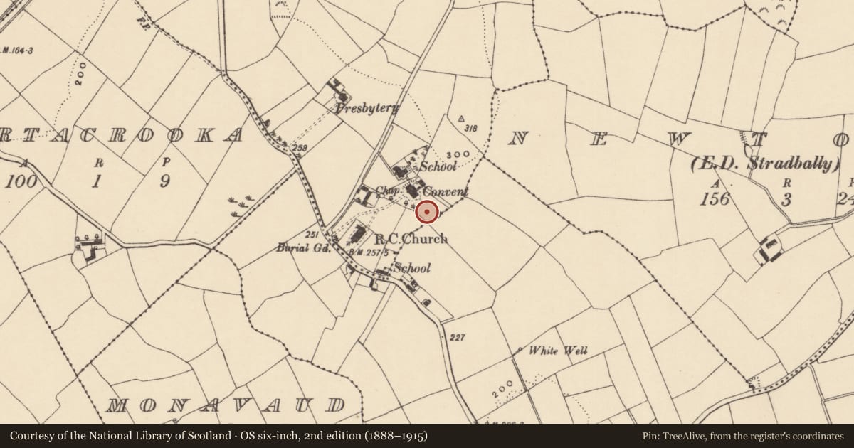 Ordnance Survey six-inch map, 2nd edition (1888–1915) covering the location of Ringfort - unclassified, Carrickahilla, County Waterford, with a pin at the register's coordinates