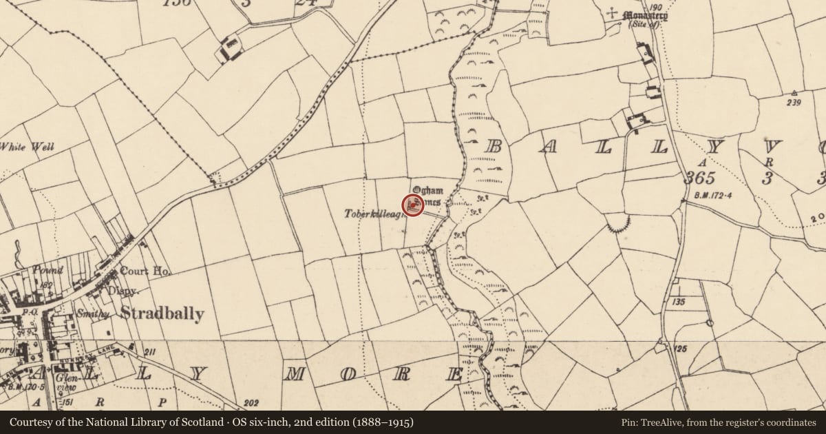 Ordnance Survey six-inch map, 2nd edition (1888–1915) covering the location of Ogham stone, Stradbally More, County Waterford, with a pin at the register's coordinates