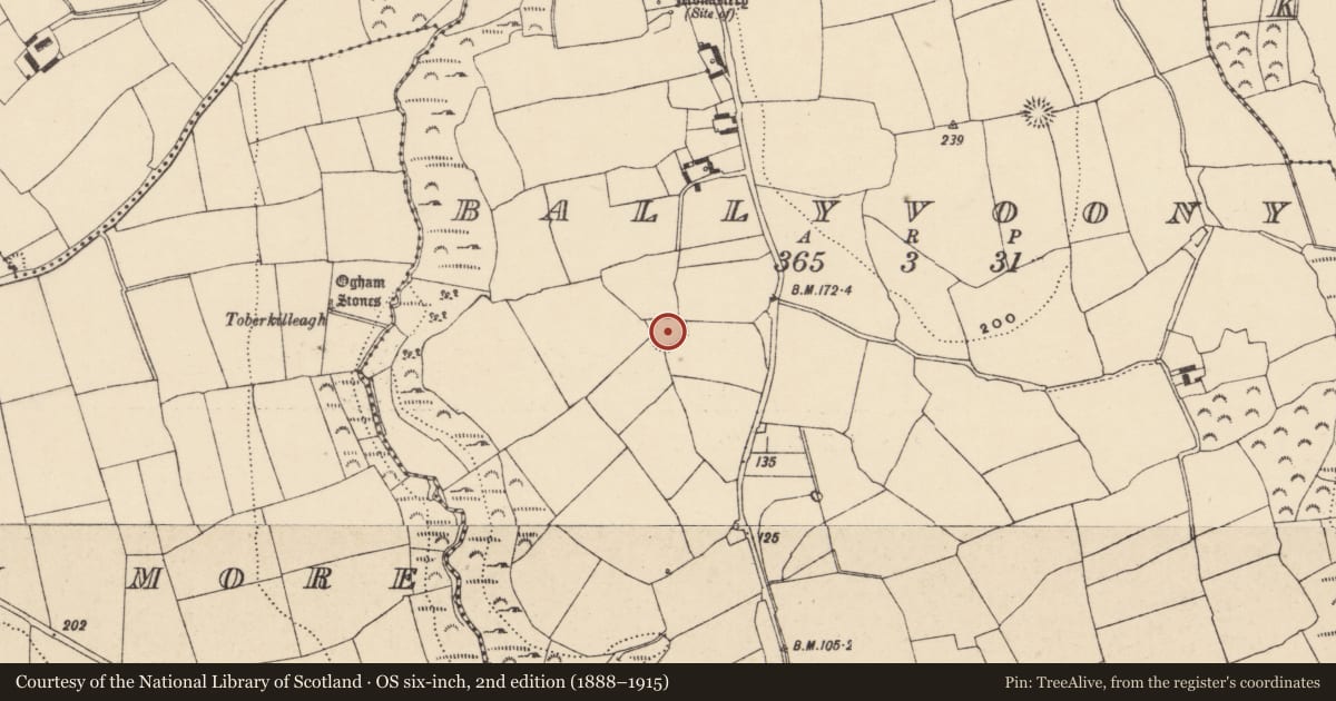 Ordnance Survey six-inch map, 2nd edition (1888–1915) covering the location of Ringfort - rath, Ballyvoony, County Waterford, with a pin at the register's coordinates