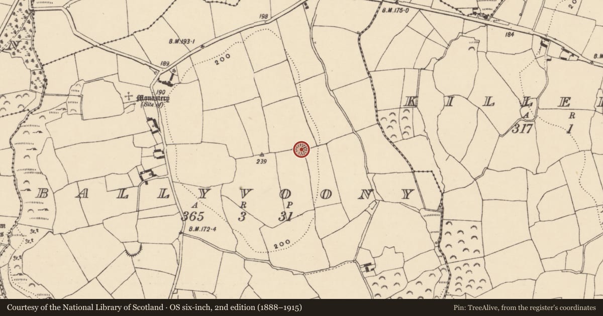 Ordnance Survey six-inch map, 2nd edition (1888–1915) covering the location of Ringfort - rath, Ballyvoony, County Waterford, with a pin at the register's coordinates