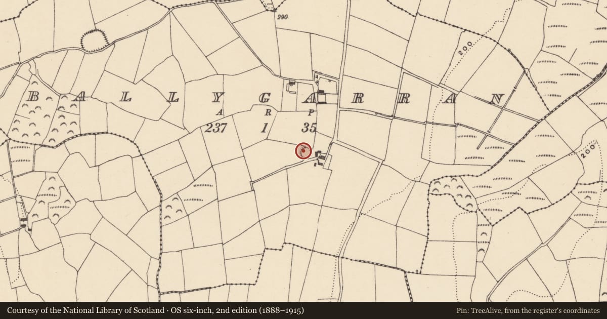 Ordnance Survey six-inch map, 2nd edition (1888–1915) covering the location of Ringfort - rath, Ballygarran, County Waterford, with a pin at the register's coordinates