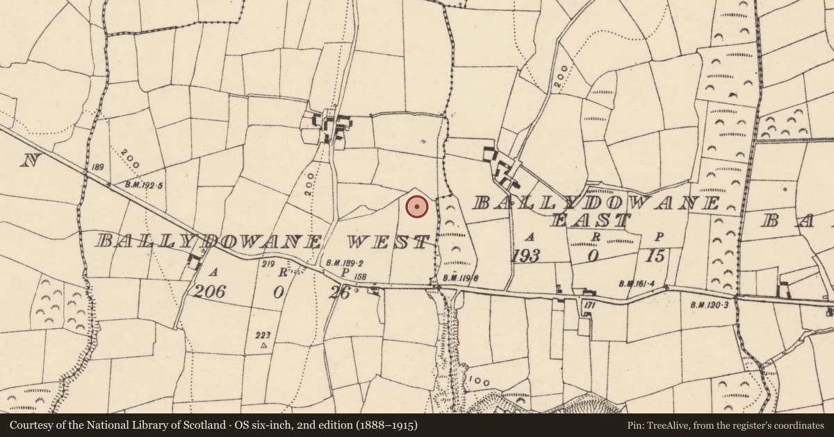 Ordnance Survey six-inch map, 2nd edition (1888–1915) covering the location of Water mill - horizontal-wheeled, Ballydowane West, County Waterford, with a pin at the register's coordinates