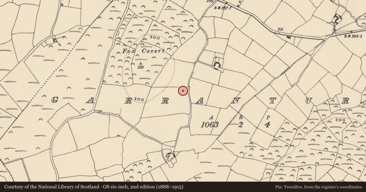 Ordnance Survey six-inch map, 2nd edition (1888–1915) covering the location of Standing stone, Garranturton, County Waterford, with a pin at the register's coordinates