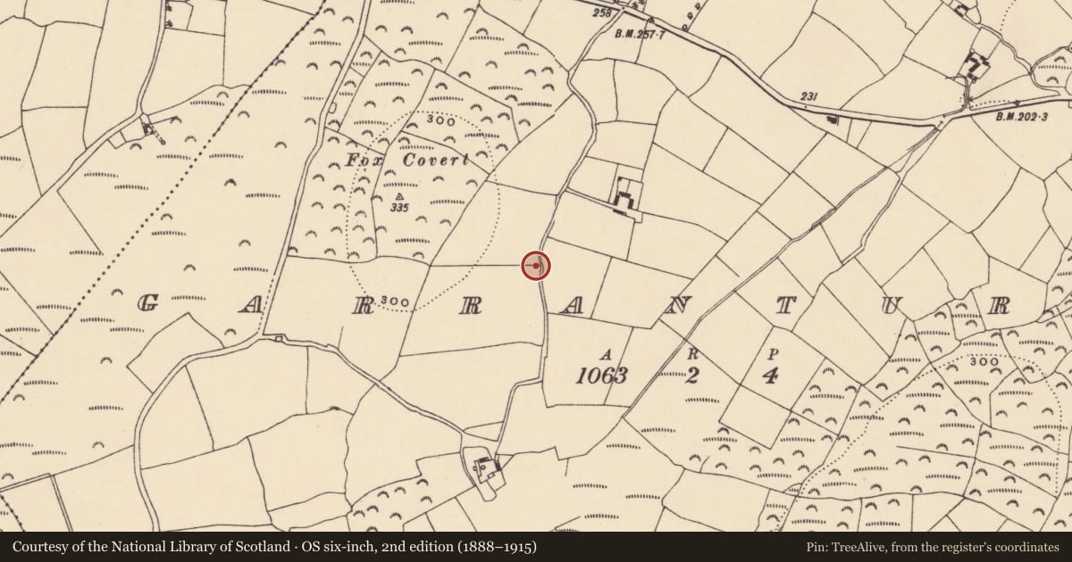 Ordnance Survey six-inch map, 2nd edition (1888–1915) covering the location of Bullaun stone, Garranturton, County Waterford, with a pin at the register's coordinates