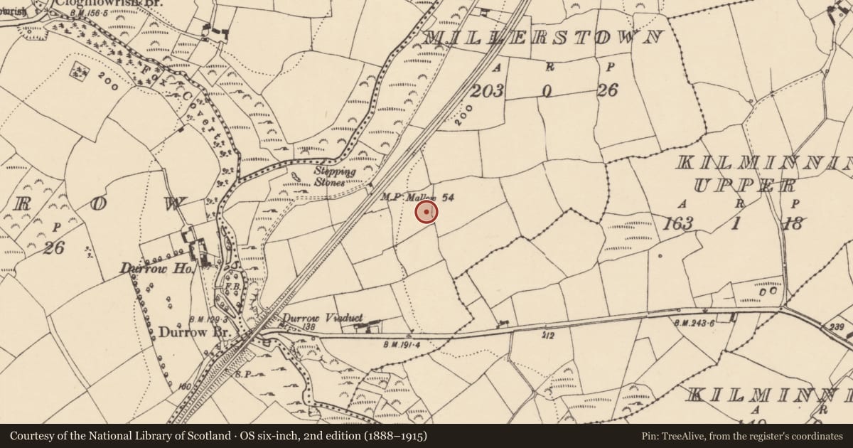 Ordnance Survey six-inch map, 2nd edition (1888–1915) covering the location of Souterrain, Millerstown, County Waterford, with a pin at the register's coordinates