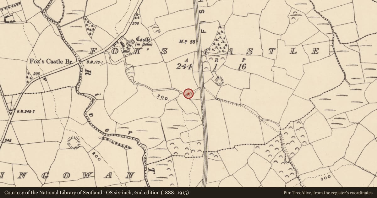 Ordnance Survey six-inch map, 2nd edition (1888–1915) covering the location of Road - road/trackway, Fox'S Castle, County Waterford, with a pin at the register's coordinates