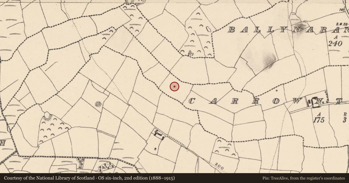 Ordnance Survey six-inch map, 2nd edition (1888–1915) covering the location of Standing stone, Carrowntassona, County Waterford, with a pin at the register's coordinates