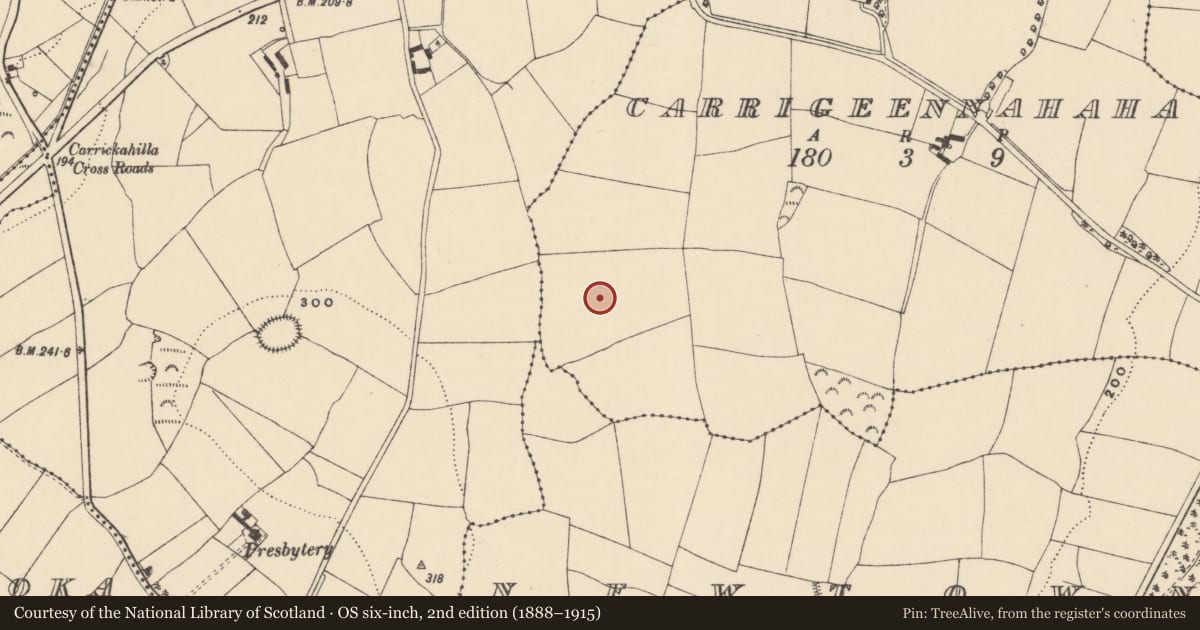 Ordnance Survey six-inch map, 2nd edition (1888–1915) covering the location of Standing stone, Carrigeennahaha, County Waterford, with a pin at the register's coordinates