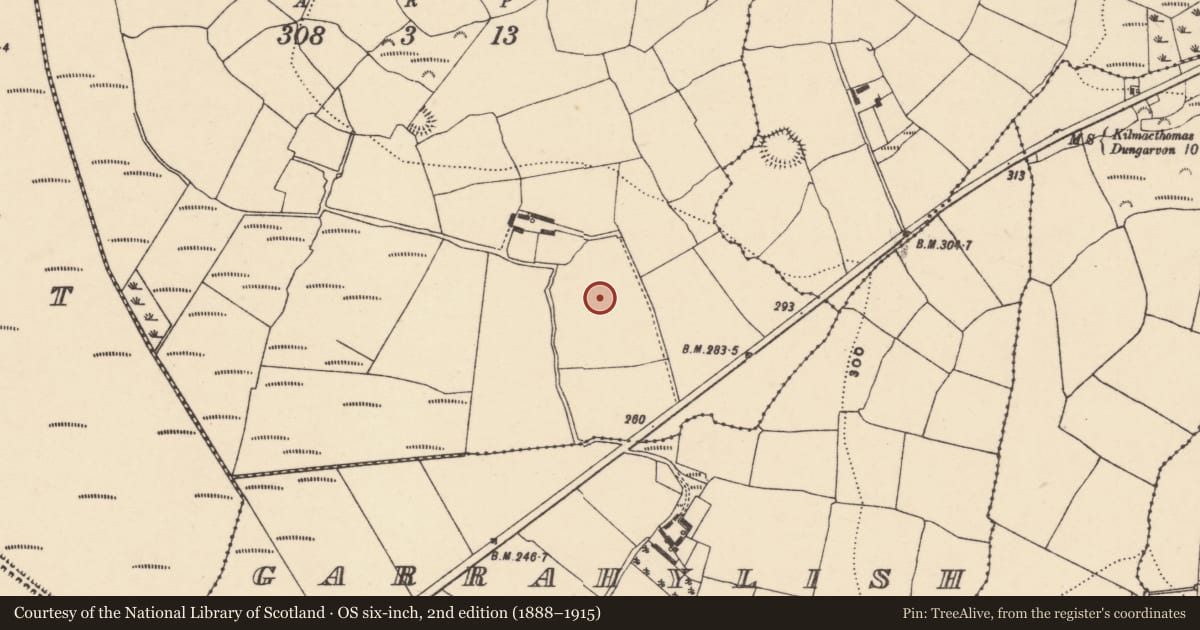 Ordnance Survey six-inch map, 2nd edition (1888–1915) covering the location of Standing stone, Garranmillon Upper, County Waterford, with a pin at the register's coordinates