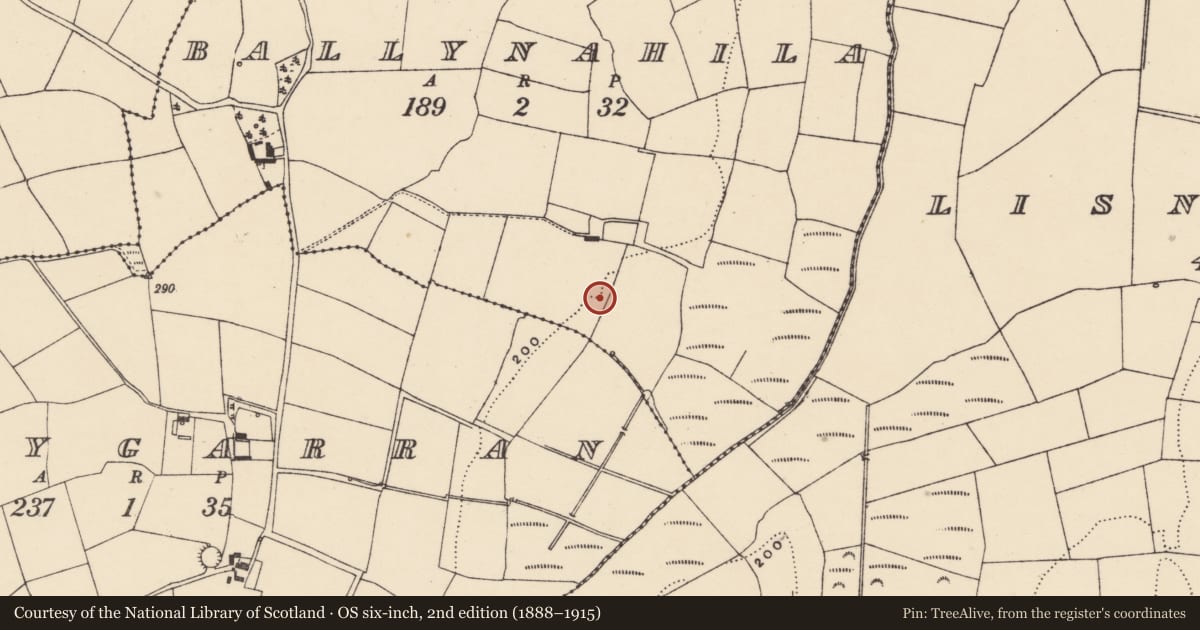 Ordnance Survey six-inch map, 2nd edition (1888–1915) covering the location of Burnt mound, Ballynahila, County Waterford, with a pin at the register's coordinates