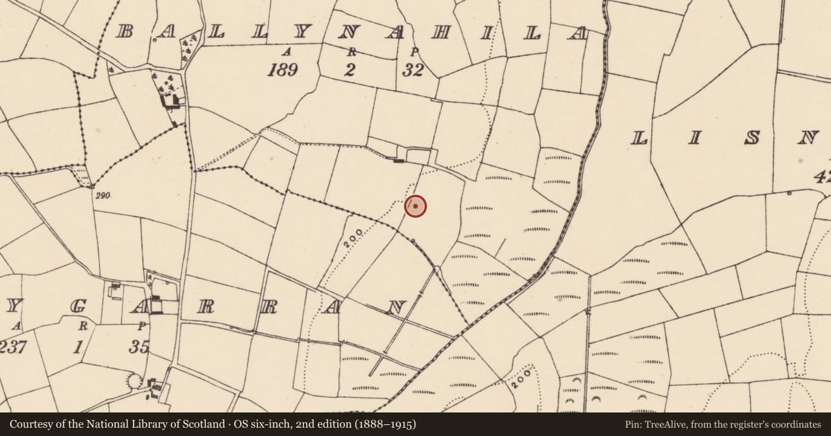 Ordnance Survey six-inch map, 2nd edition (1888–1915) covering the location of Burnt mound, Ballynahila, County Waterford, with a pin at the register's coordinates