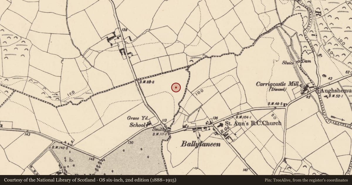 Ordnance Survey six-inch map, 2nd edition (1888–1915) covering the location of Ritual site - holy well, Ballylaneen, County Waterford, with a pin at the register's coordinates