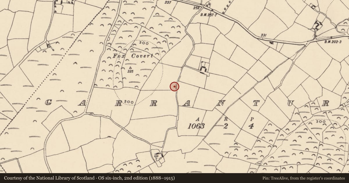 Ordnance Survey six-inch map, 2nd edition (1888–1915) covering the location of Standing stone, Garranturton, County Waterford, with a pin at the register's coordinates