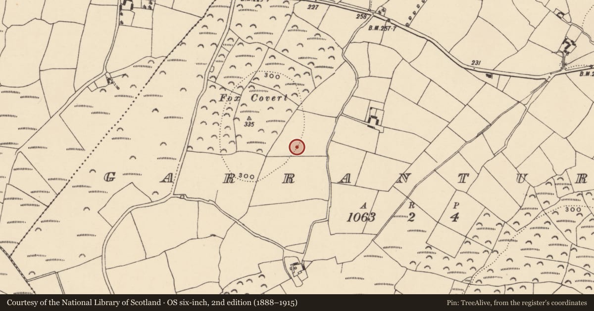 Ordnance Survey six-inch map, 2nd edition (1888–1915) covering the location of Standing stone, Garranturton, County Waterford, with a pin at the register's coordinates