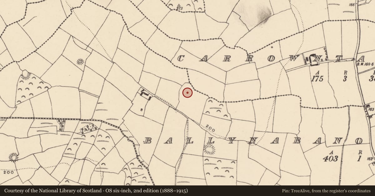 Ordnance Survey six-inch map, 2nd edition (1888–1915) covering the location of Enclosure, Ballynabanoge South, County Waterford, with a pin at the register's coordinates