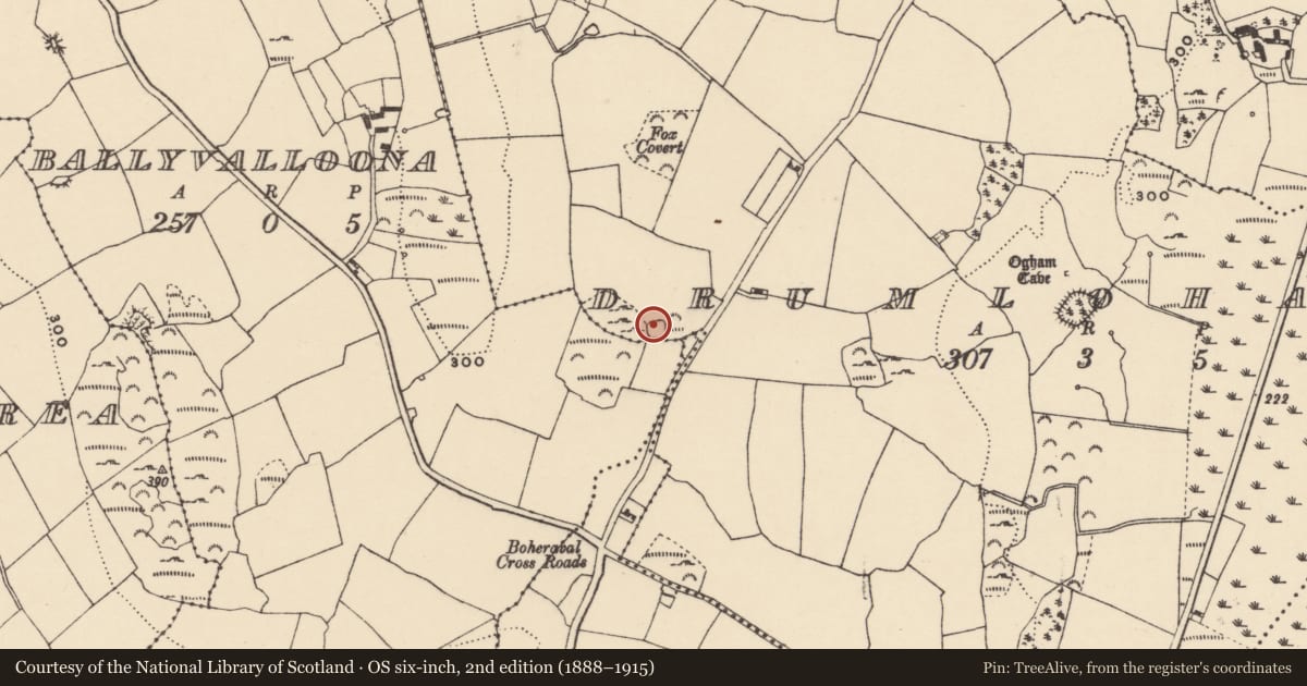 Ordnance Survey six-inch map, 2nd edition (1888–1915) covering the location of Souterrain, Drumlohan, County Waterford, with a pin at the register's coordinates