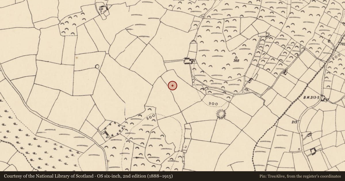 Ordnance Survey six-inch map, 2nd edition (1888–1915) covering the location of Standing stone, Garranturton, County Waterford, with a pin at the register's coordinates