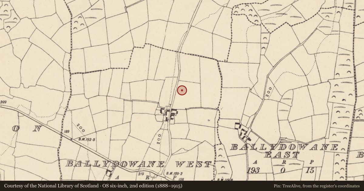 Ordnance Survey six-inch map, 2nd edition (1888–1915) covering the location of Burnt mound, Ballydowane West, County Waterford, with a pin at the register's coordinates