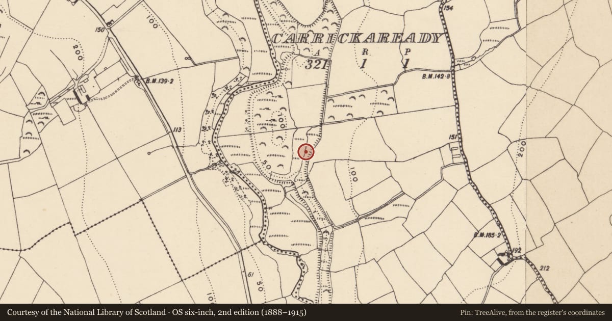 Ordnance Survey six-inch map, 2nd edition (1888–1915) covering the location of Fulacht fia, Carrickaready, County Waterford, with a pin at the register's coordinates