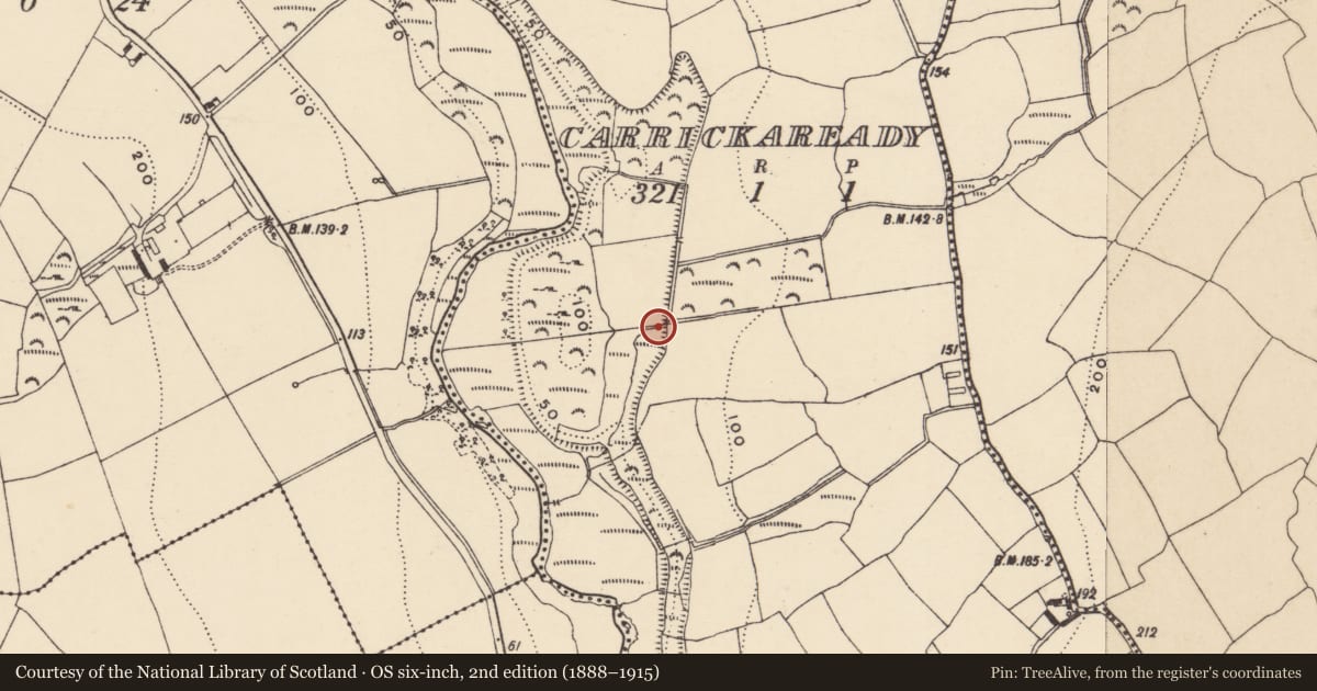 Ordnance Survey six-inch map, 2nd edition (1888–1915) covering the location of Burnt mound, Carrickaready, County Waterford, with a pin at the register's coordinates