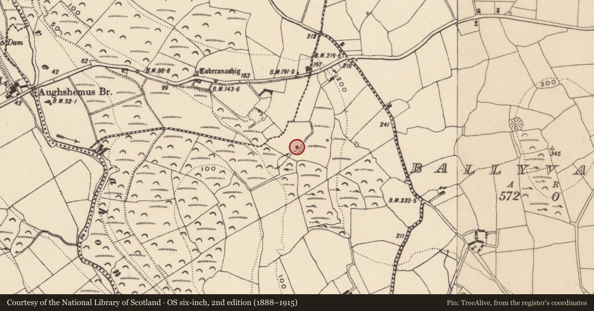 Ordnance Survey six-inch map, 2nd edition (1888–1915) covering the location of Burnt mound, Carrickaready, County Waterford, with a pin at the register's coordinates