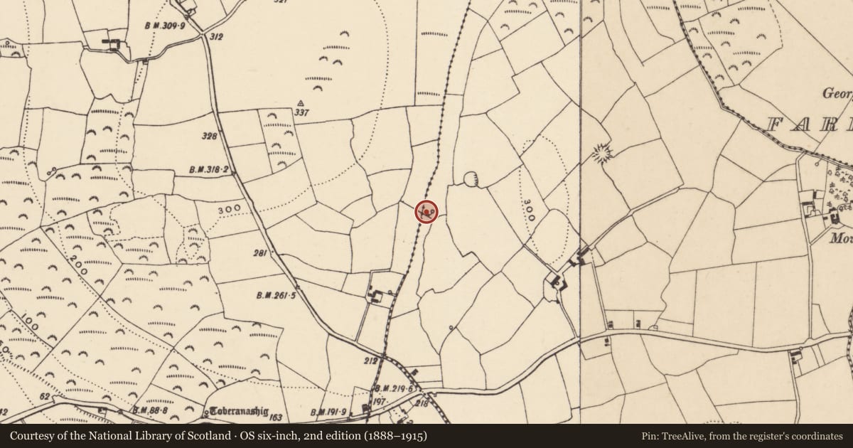 Ordnance Survey six-inch map, 2nd edition (1888–1915) covering the location of Burnt mound, Ballyvadden, County Waterford, with a pin at the register's coordinates