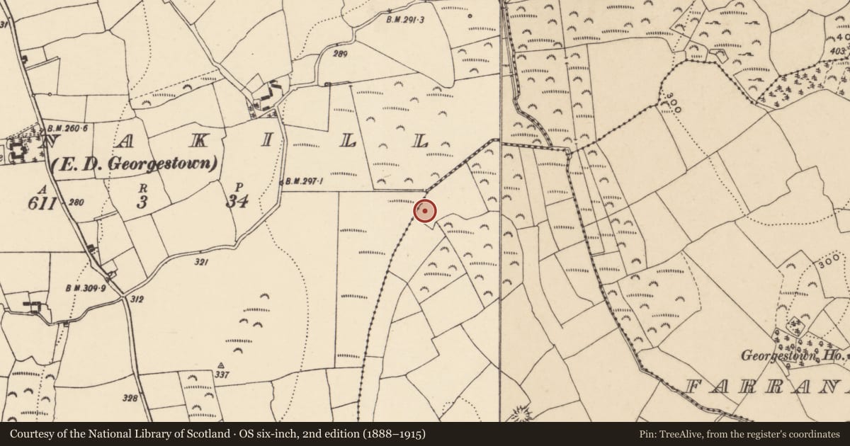 Ordnance Survey six-inch map, 2nd edition (1888–1915) covering the location of Burnt spread, Ballyvadden, County Waterford, with a pin at the register's coordinates