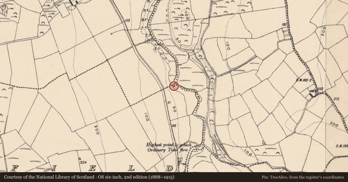 Ordnance Survey six-inch map, 2nd edition (1888–1915) covering the location of Fulacht fia, Seafield, County Waterford, with a pin at the register's coordinates