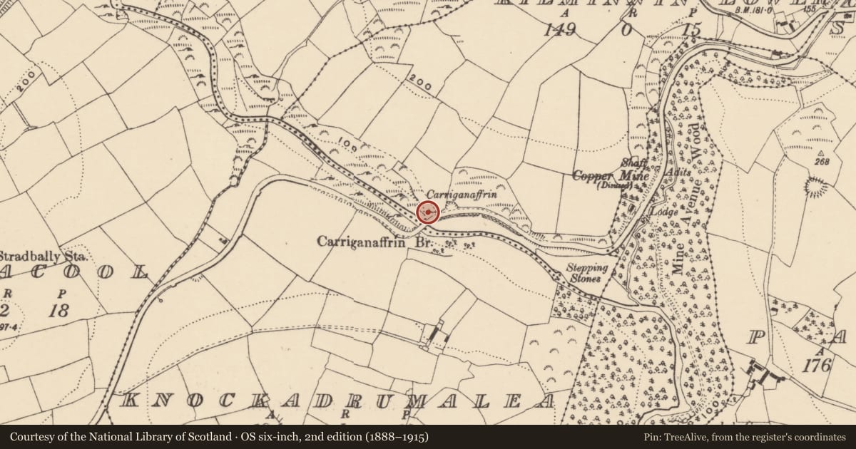 Ordnance Survey six-inch map, 2nd edition (1888–1915) covering the location of Mass-rock, Kilminnin Lower, County Waterford, with a pin at the register's coordinates