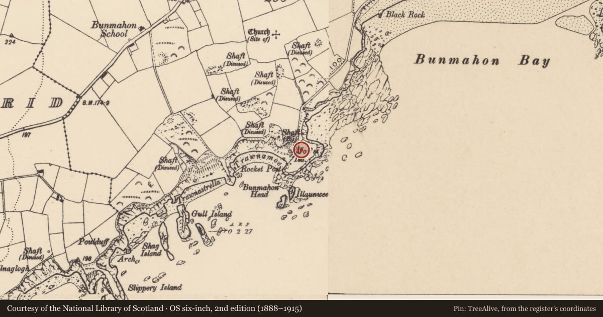 Ordnance Survey six-inch map, 2nd edition (1888–1915) covering the location of Promontory fort - coastal, Templeyvrick, County Waterford, with a pin at the register's coordinates