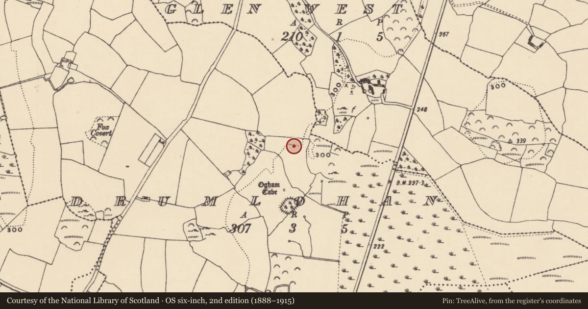 Ordnance Survey six-inch map, 2nd edition (1888–1915) covering the location of Ringfort - rath, Drumlohan, County Waterford, with a pin at the register's coordinates