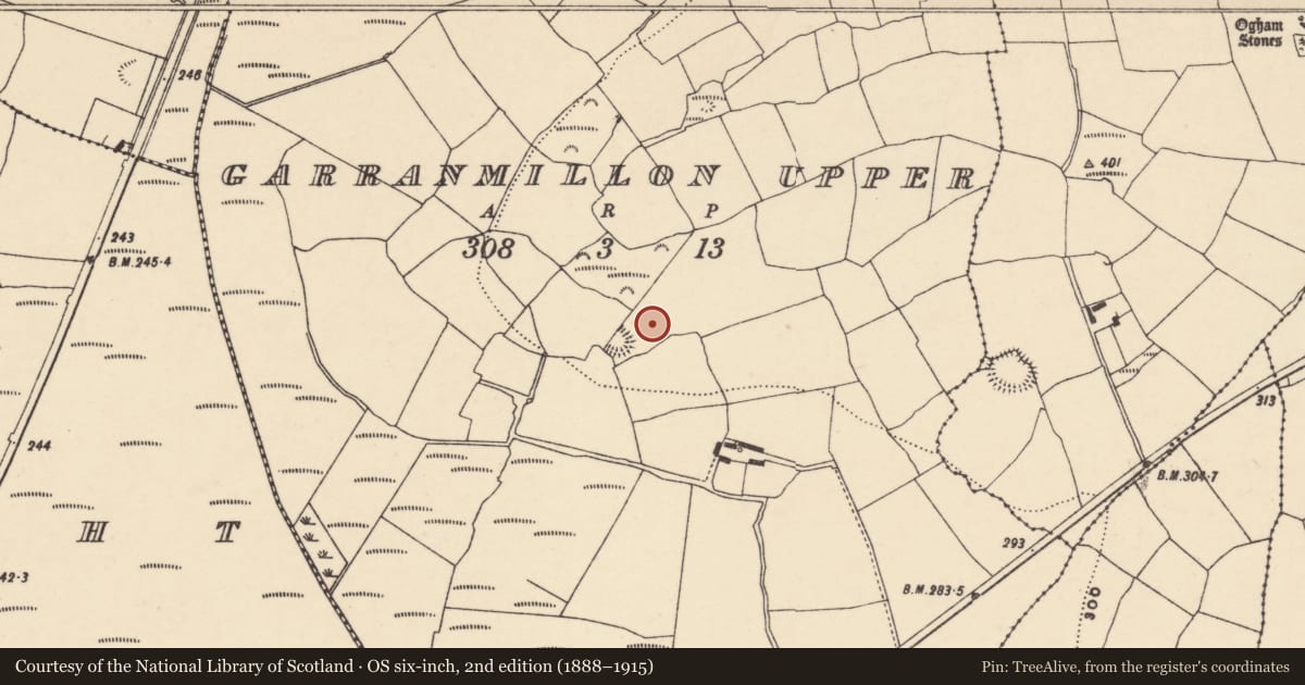 Ordnance Survey six-inch map, 2nd edition (1888–1915) covering the location of Enclosure, Garranmillon Upper, County Waterford, with a pin at the register's coordinates