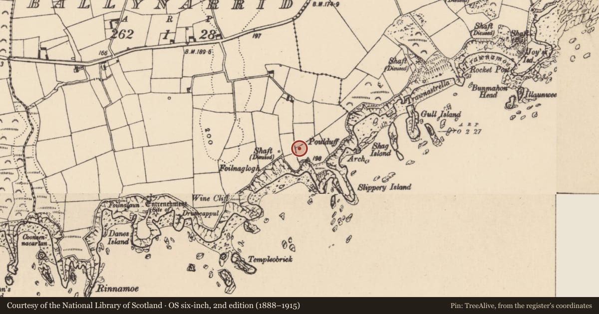 Ordnance Survey six-inch map, 2nd edition (1888–1915) covering the location of Signal tower, Ballynarrid, County Waterford, with a pin at the register's coordinates