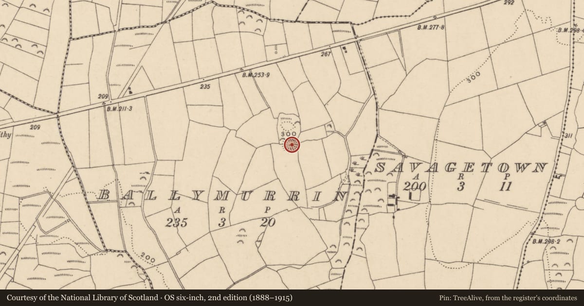 Ordnance Survey six-inch map, 2nd edition (1888–1915) covering the location of Ringfort - rath, Ballymurrin, County Waterford, with a pin at the register's coordinates