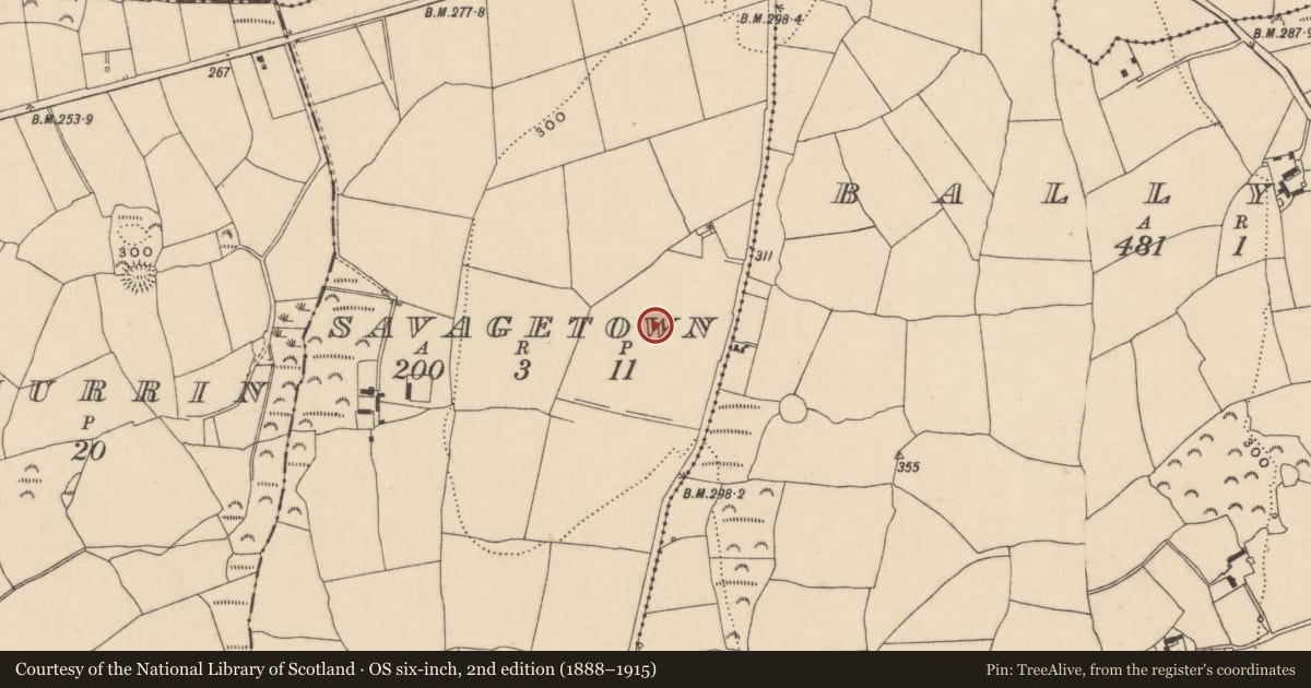 Ordnance Survey six-inch map, 2nd edition (1888–1915) covering the location of Standing stone, Savagetown, County Waterford, with a pin at the register's coordinates