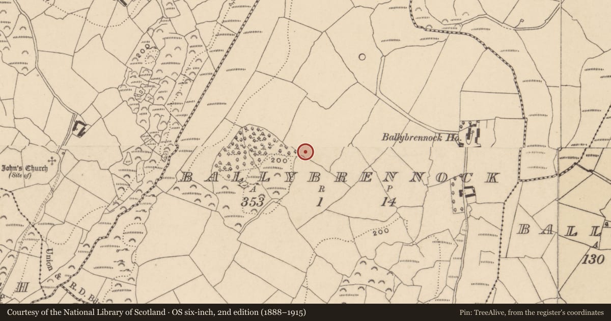 Ordnance Survey six-inch map, 2nd edition (1888–1915) covering the location of Enclosure, Ballybrennock, County Waterford, with a pin at the register's coordinates